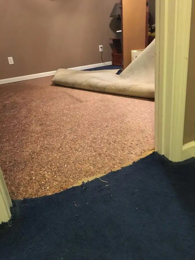 Carpet pad removal revealing water damage during Drying & Dehumidification in Knoxville