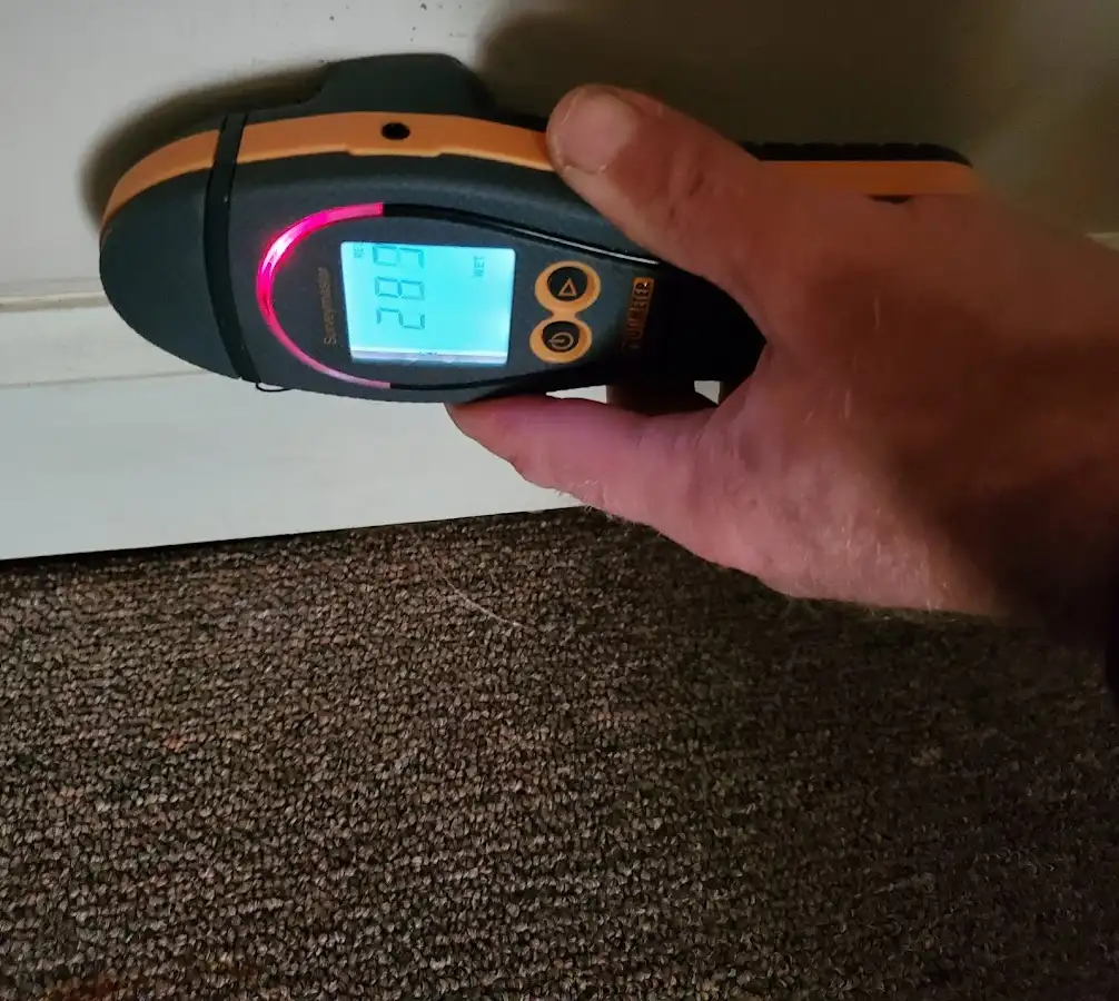 Moisture detection at baseboard during Mold Inspection & Testing in Knoxville